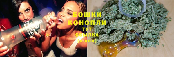трава Алексин