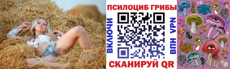 продажа наркотиков  Невьянск  Галлюциногенные грибы прущие грибы 